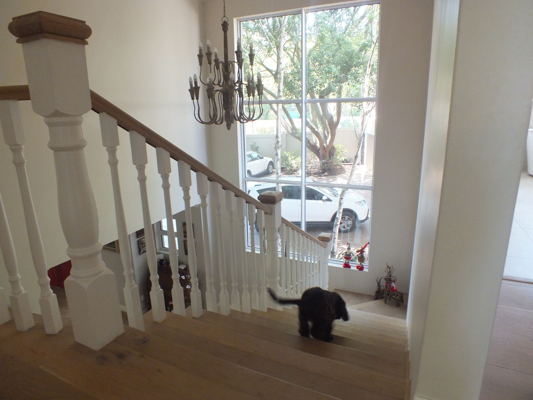 Stair and double-height driveway window — House in Atholl