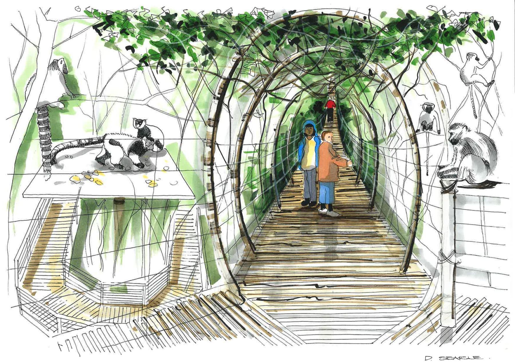 Viewing tunnel — hand-drawn by Debby Searle