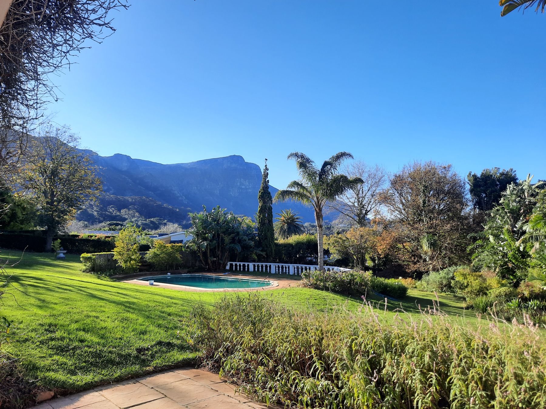 The Constantia site looking across the lawn and pool to the mountain